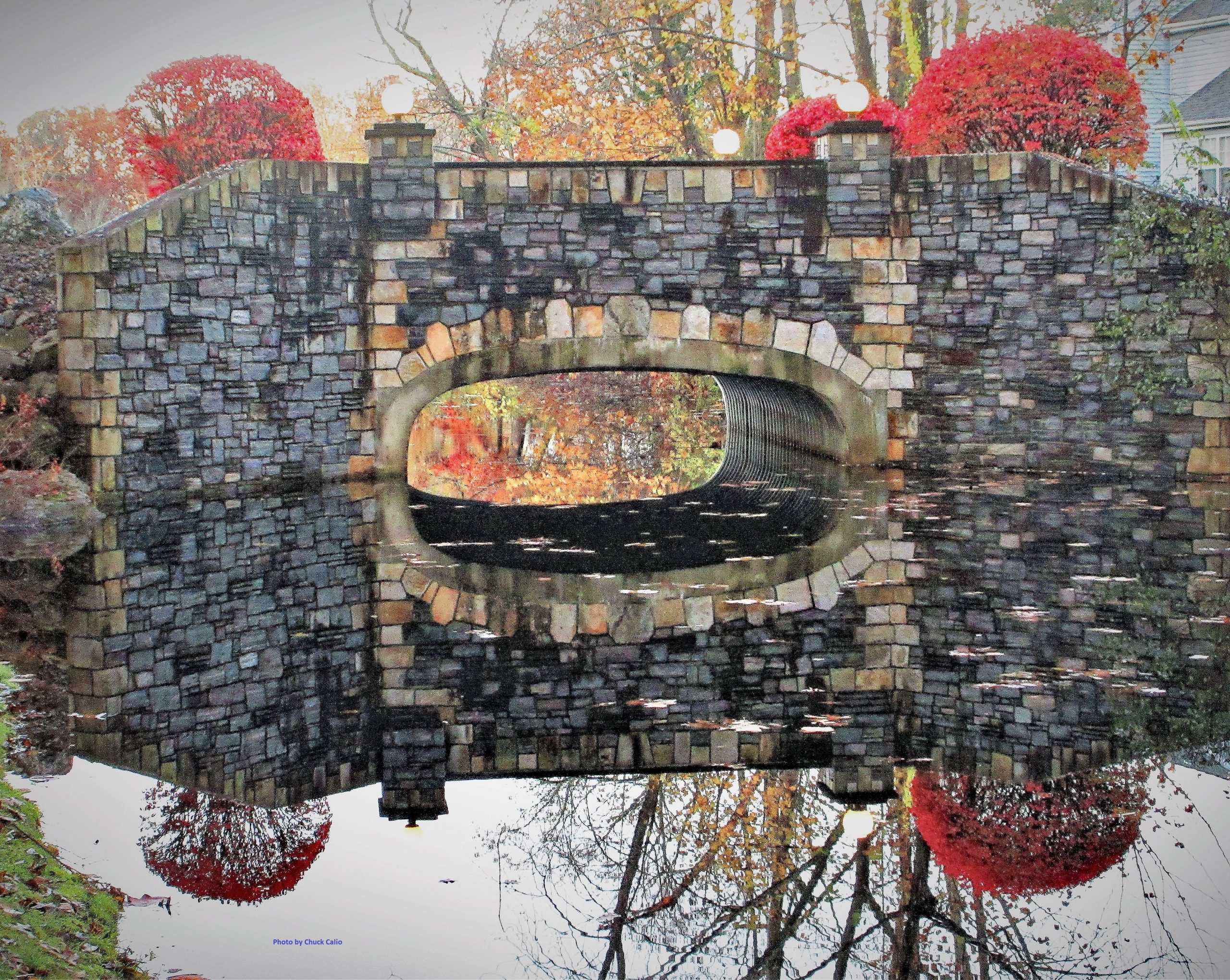 Bridge view in the Fall